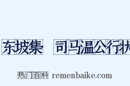 东坡集·司马温公行状是什么意思的图片